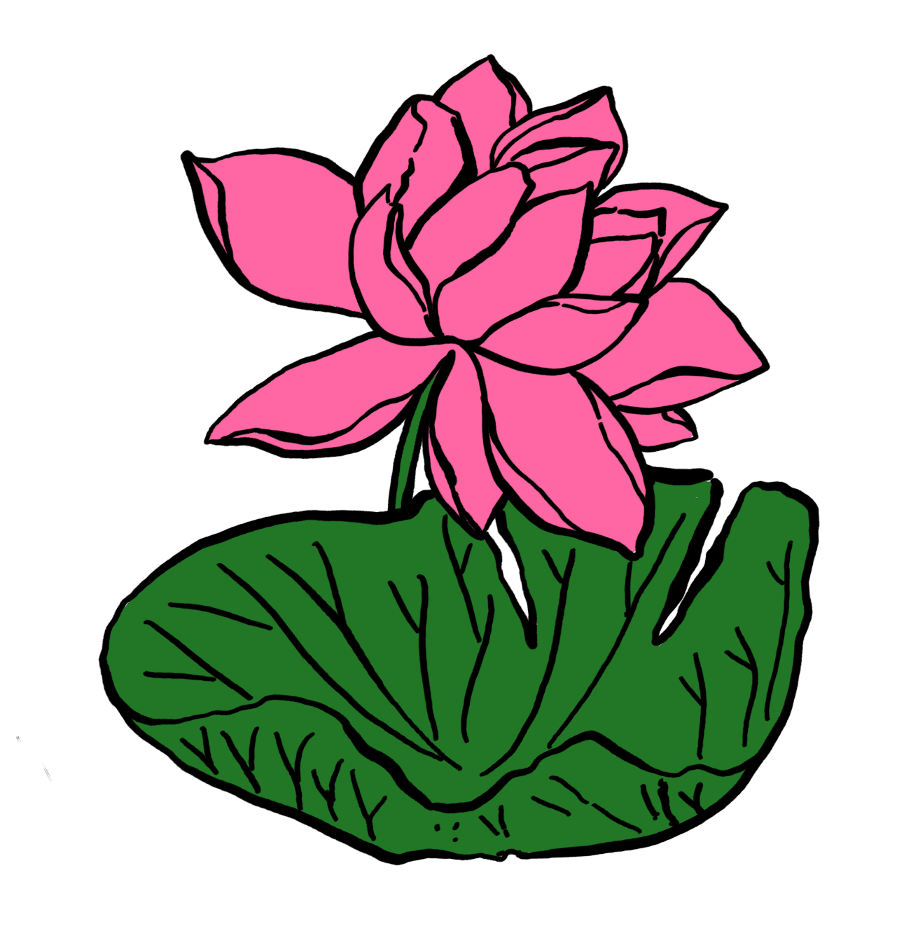 lotus leaf