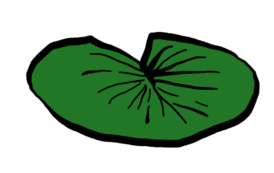 lotus leaf