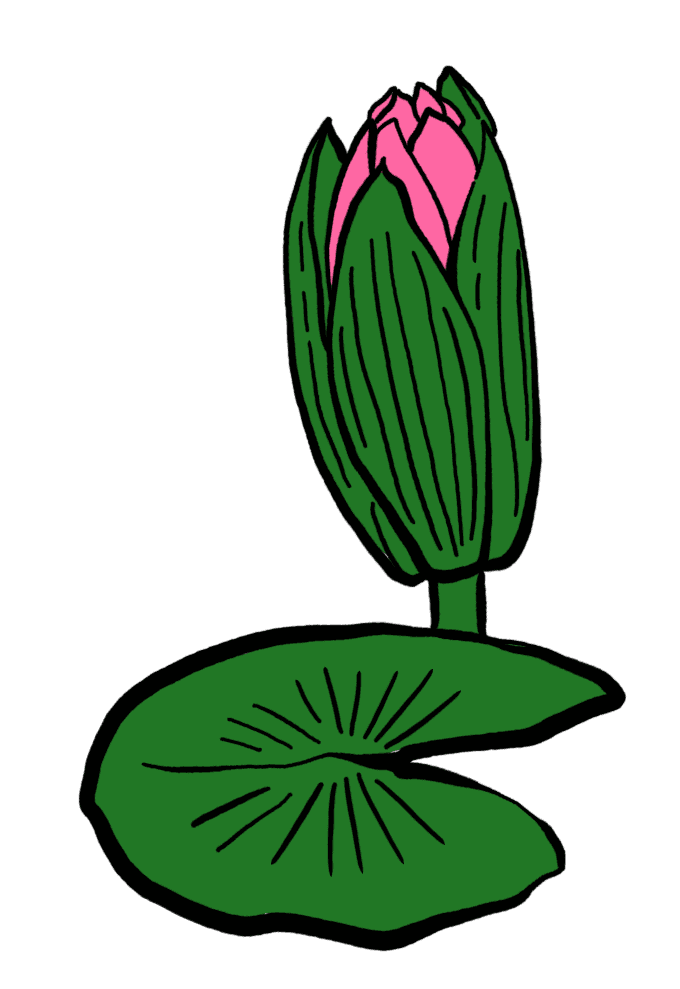 lotus leaf